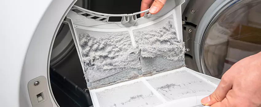 Best Dryer Lint Removal Company in Northdale, Florida