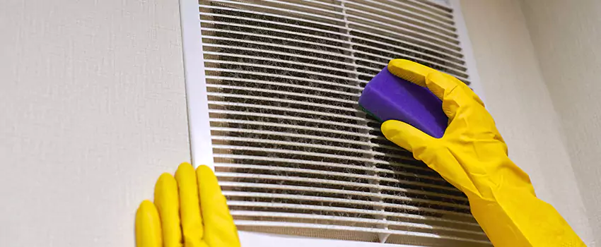 Vent Cleaning Company in Northdale, FL