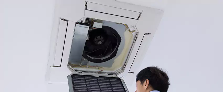 Benefits of Professional Air Duct Cleaning in Northdale, Florida