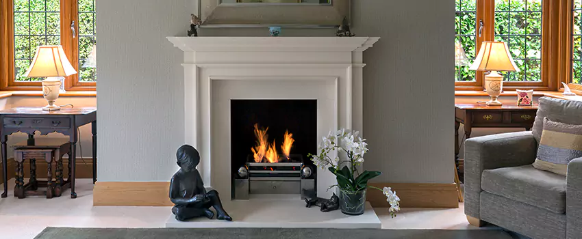 Astria Open-Hearth Wood Fireplaces Services in Northdale, FL