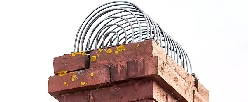 Chimney Crown Problems in Northdale, Florida