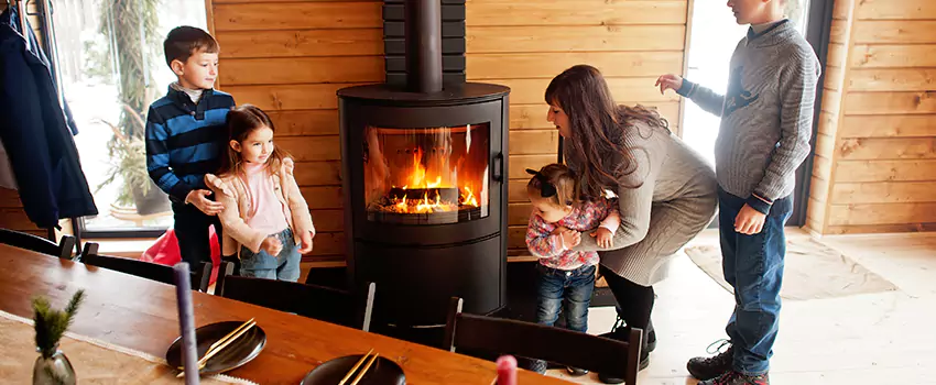 Jøtul Gas Fireplace Inspection Service in Northdale, Florida